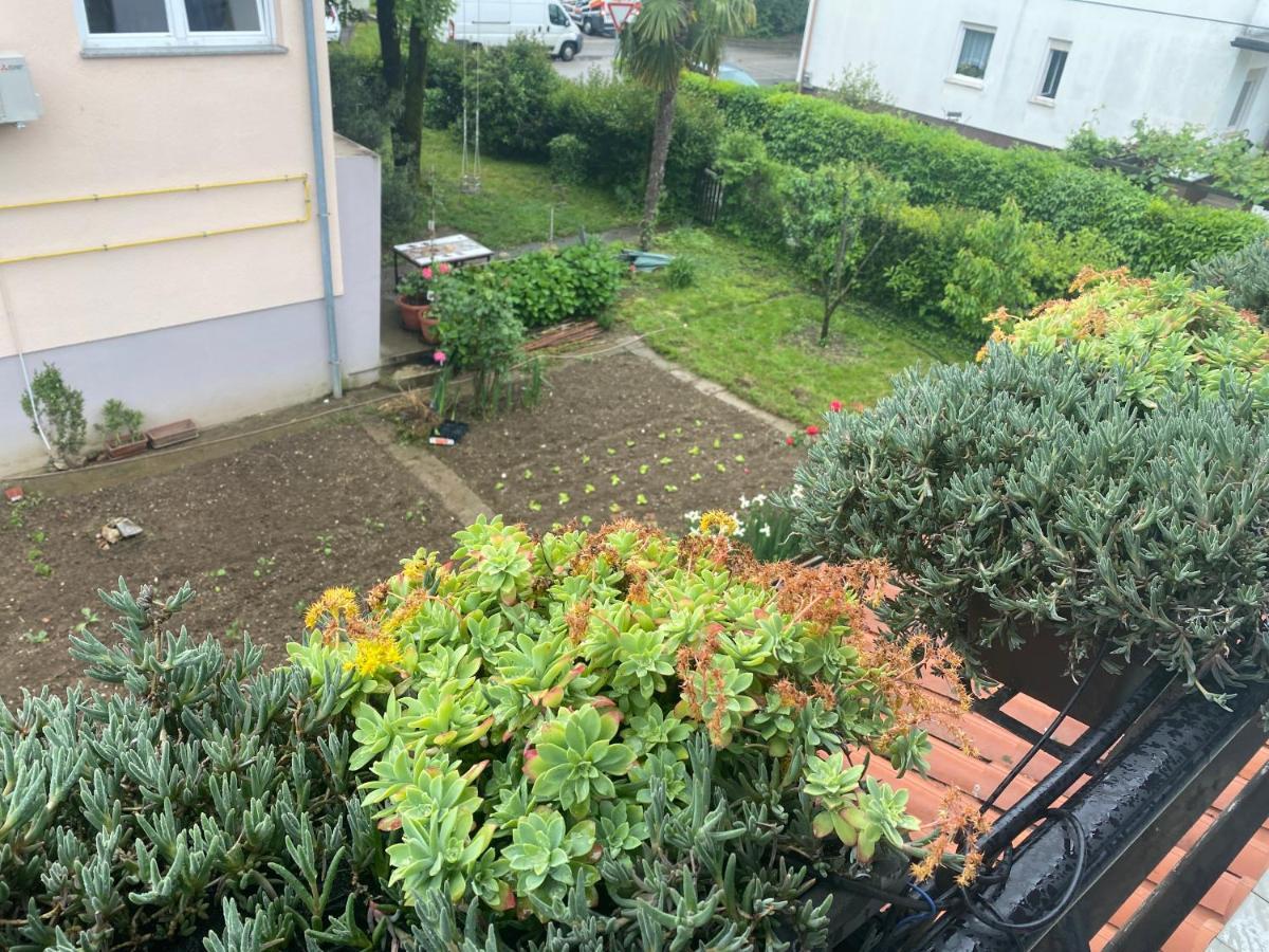 Apartma Magnolija Nova Gorica Exteriér fotografie